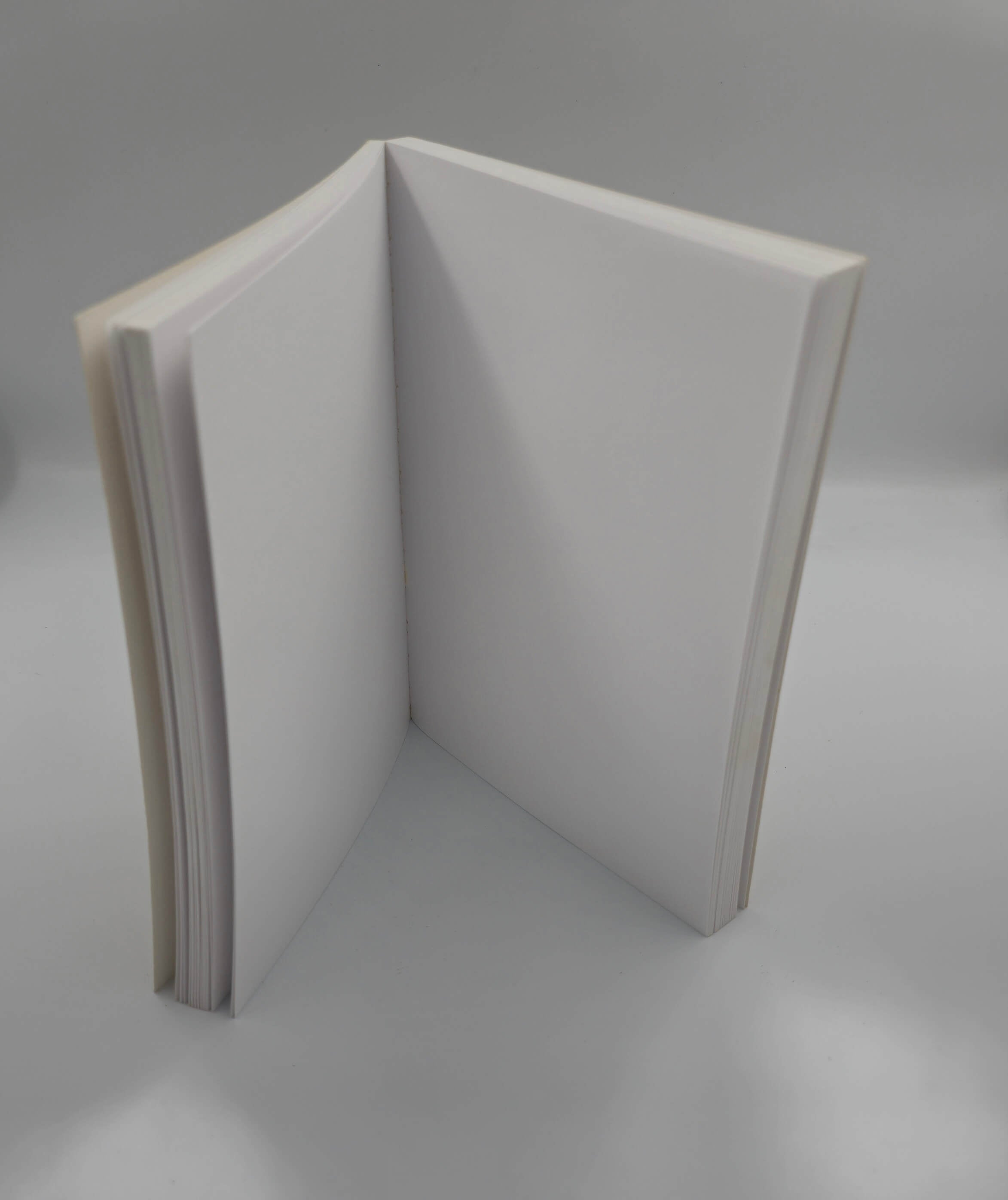 Ref: 0000173-3 Carnet d'écriture 