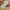 0001809-1 Rouleau de papier chinois 