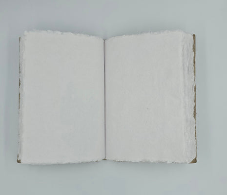 Ref: 0015122-2 : Carnet "Codex" Lin