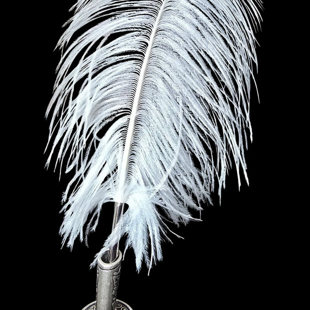 Ref: 1421: Plume d'autruche