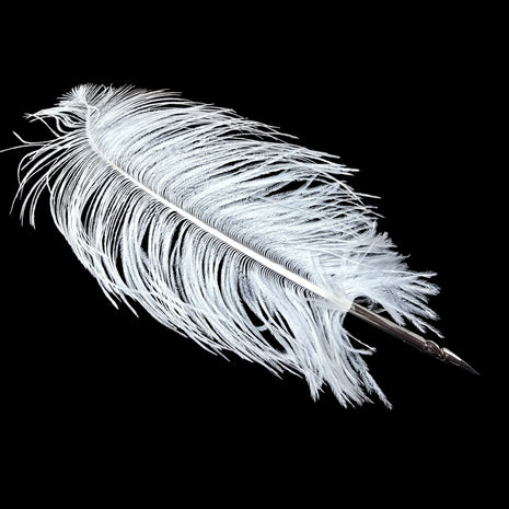 Ref: 1421: Plume d'autruche