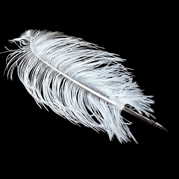 Ref: 1421: Plume d'autruche