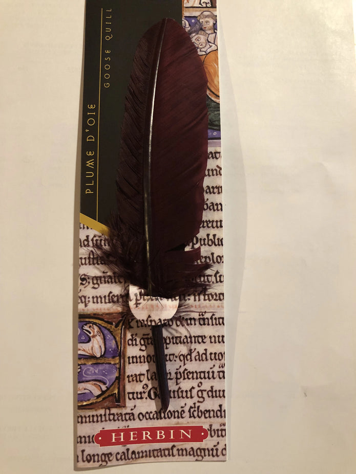 Ref: 1506: Goose quill on illuminated cardboard 