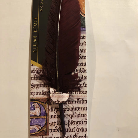 Ref: 1506:Plume d'oie sur carton enluminé