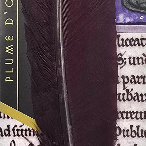 Ref: 1506:Plume d'oie sur carton enluminé