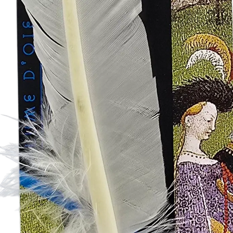 Ref: 1505: Plume d'oie  " Moyen Age ", Herbin