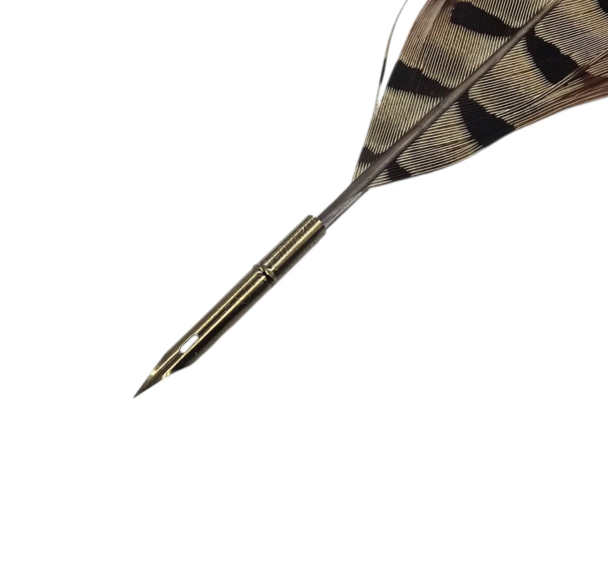 Ref: 1626-1: Golden pheasant feather