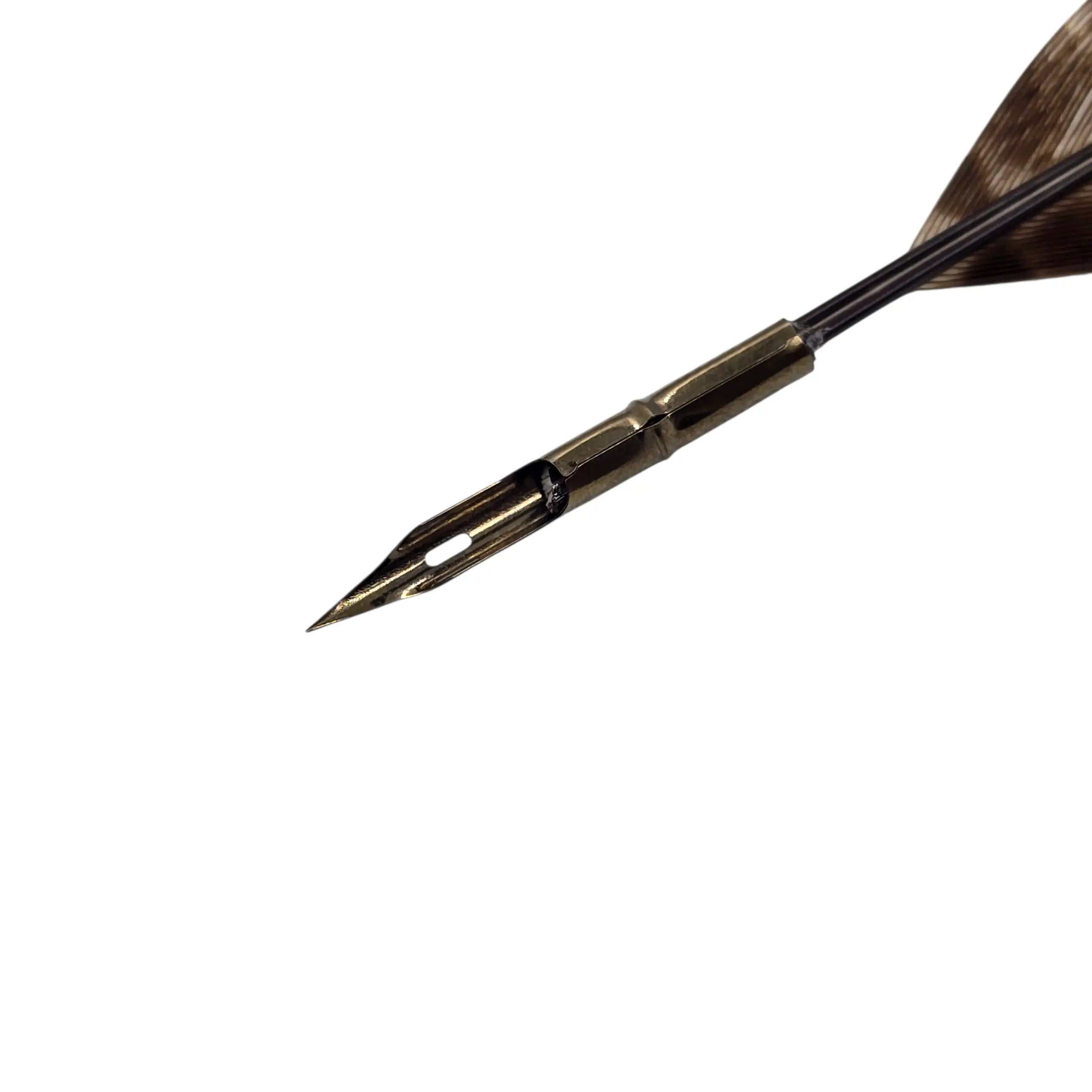 Ref: 1626-1: Golden pheasant feather