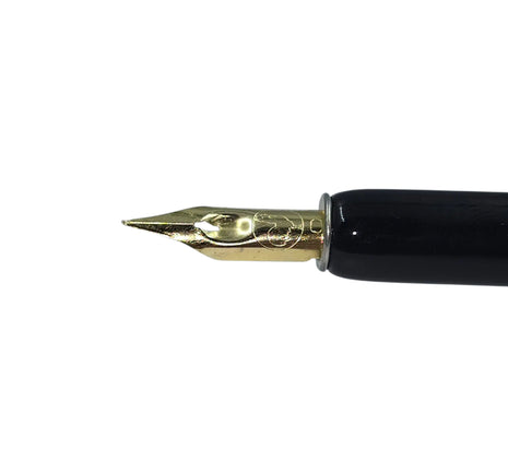 Ref: 428-1: Plume "Cito Fein"