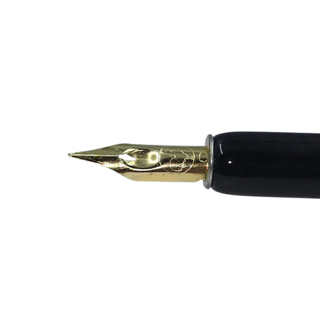 Ref: 428-1: Plume "Cito Fein"