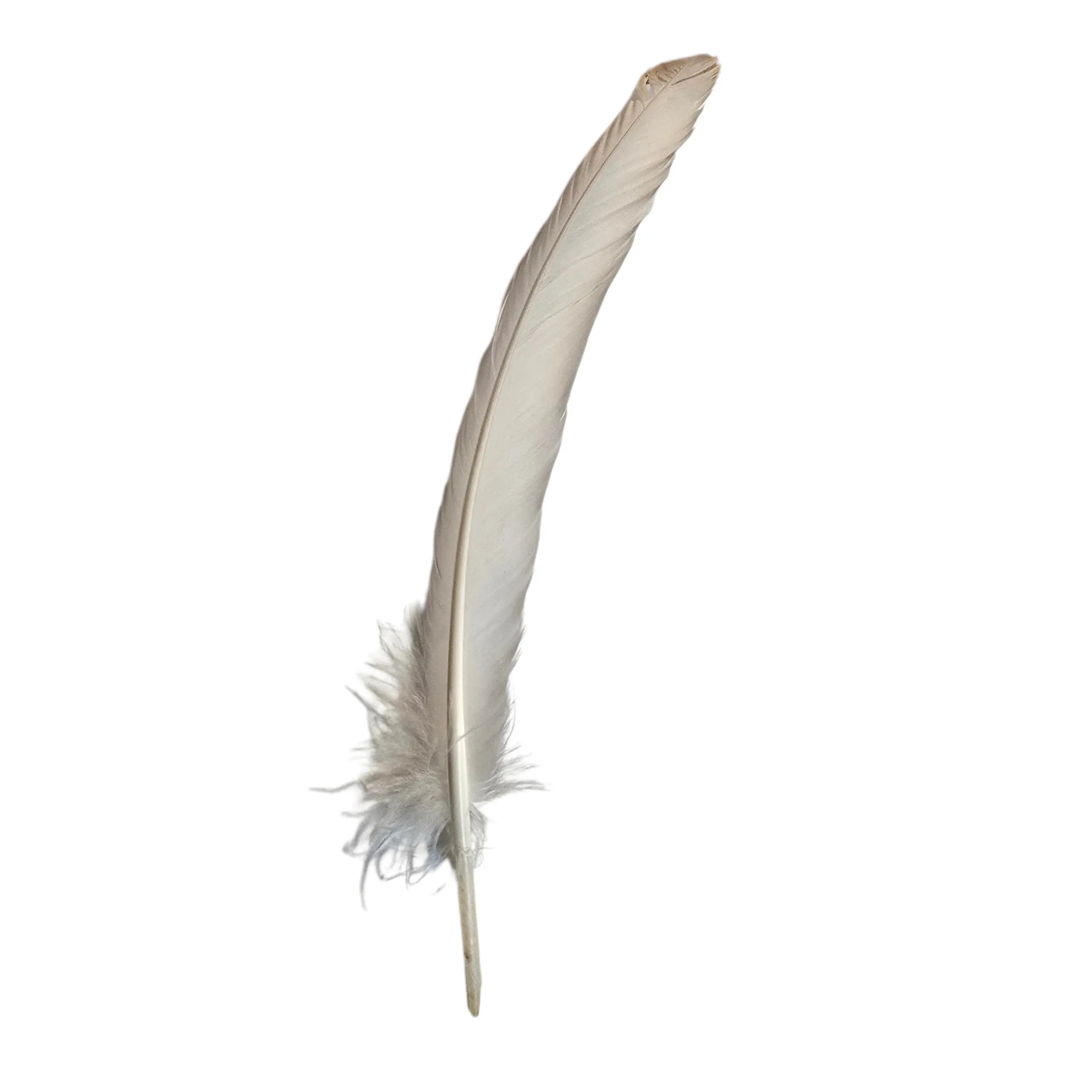 Plume d'oie naturel. La Plume du Scriptorium