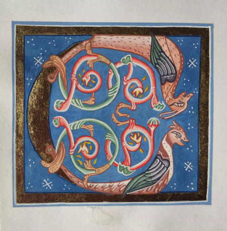 Illuminated Letter C with Dragons