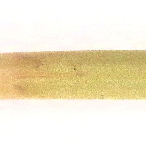 Ref: 1502 : Bambou avec pinceau de martre