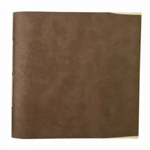 0008616 : Carnet "Pundit"