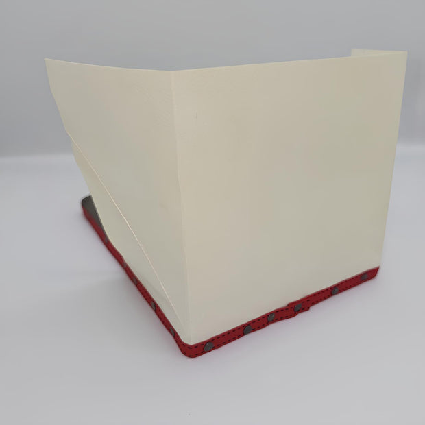 0003675-1 Coussin à dorer à parevent Parchemin de chèvre