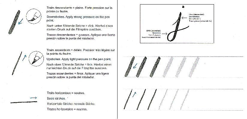 Ref: 582-1: Brush Lettering Learning Sheets