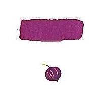 Ref: 135: Encre Classique Herbin,  Flacon de 30 ml