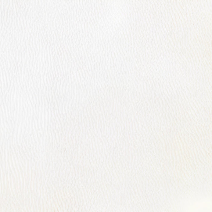 Ref: 0003218-1 Parchemin naturel de Chèvre 2er choix, Grand format