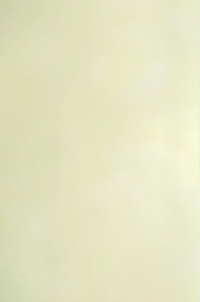 3853-2 Parchemin végétal Blanc 21 x 29,7 cm, 110 g en feuille, à l'unité