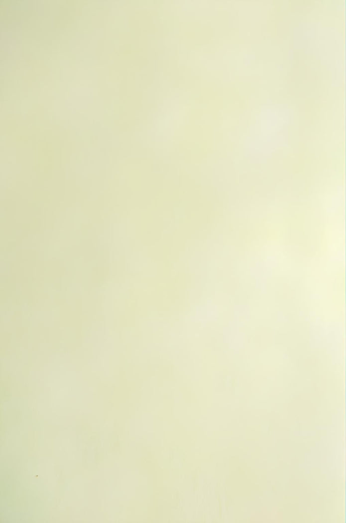 0003853 Parchemin végétal 21 x 29,7 cm, 230 g en feuille, à l'unité