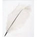 ref: 1421: Plume d'autruche