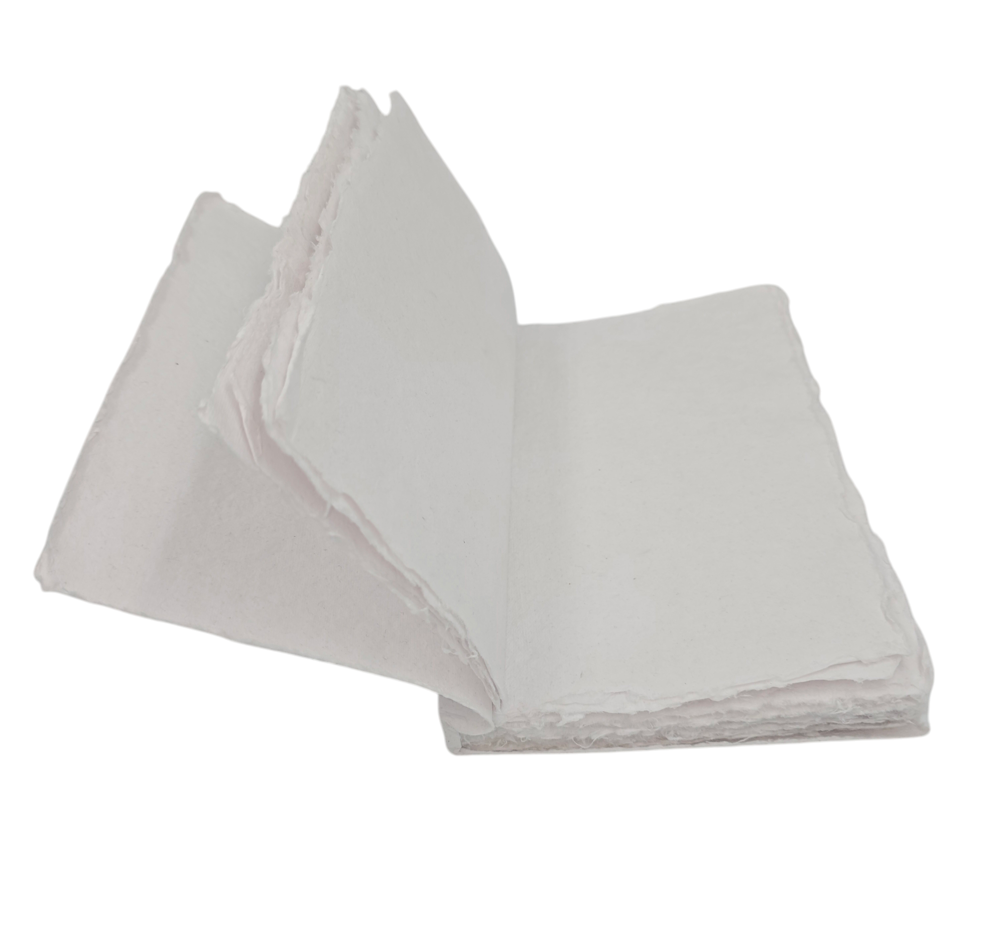 Ref 0015122: White 
