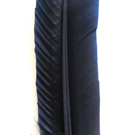 Ref: 163: Plume d'oie Herbin